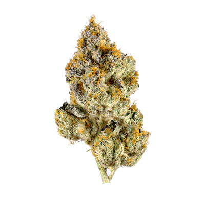 Pluto Runtz THC Strain